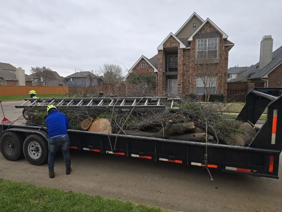 Expert Lot Clearing with proper safety equipment in Bloomington